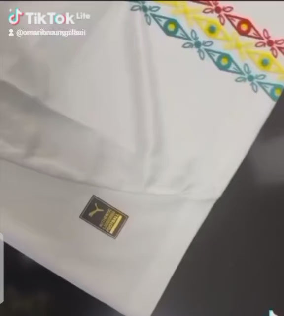 Maillot Sénégal🇸🇳Officiel – Lions de la Téranga (Domicile & Extérieur) – Qualité Premium