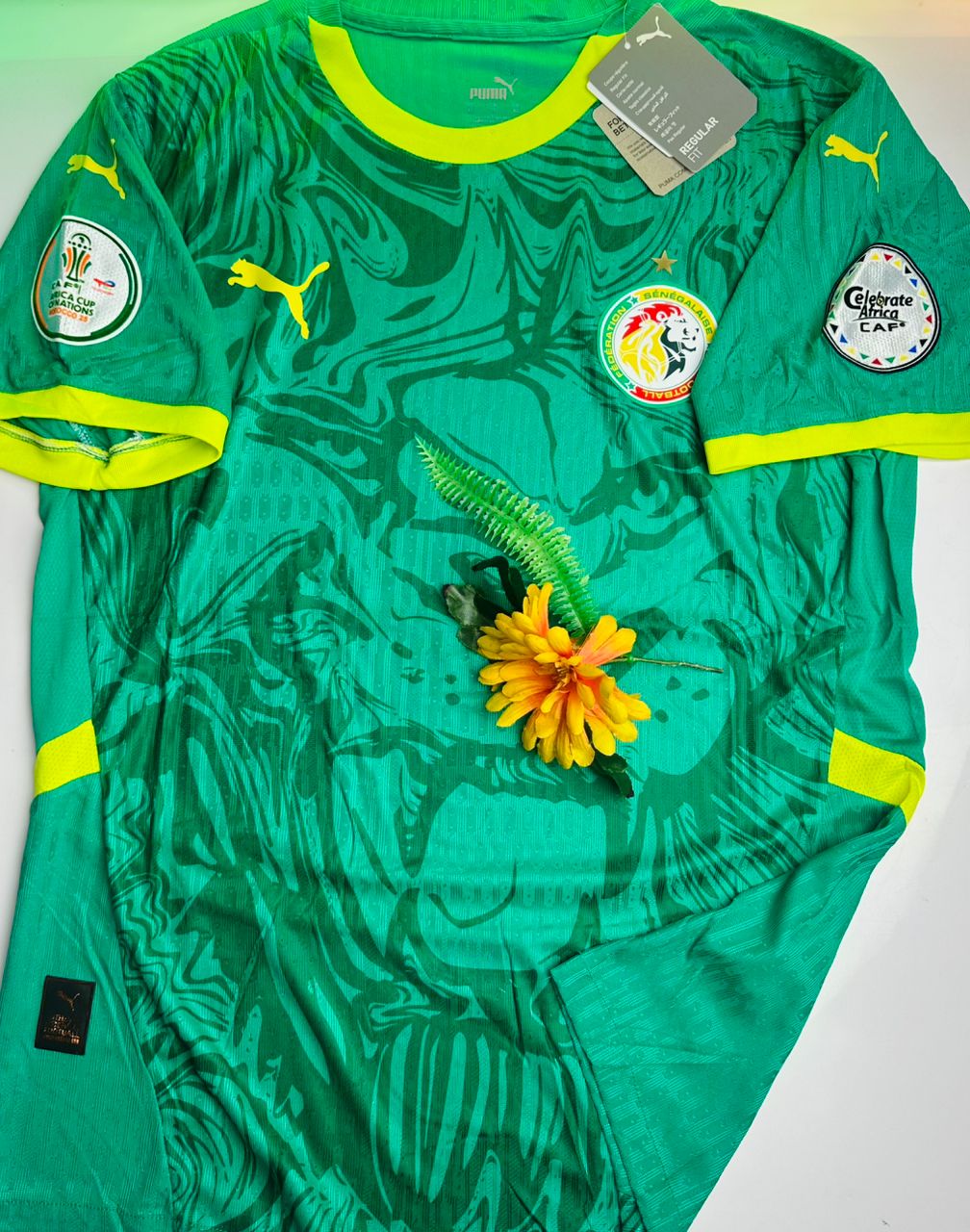 Maillot Sénégal🇸🇳Officiel – Lions de la Téranga (Domicile & Extérieur) – Qualité Premium
